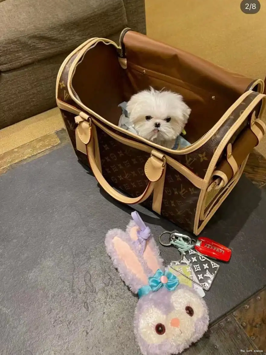 PET LV CUSTOM BAG 0501